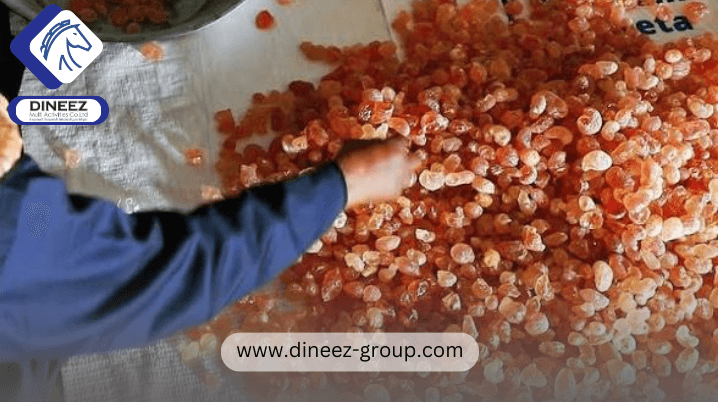 Gum Arabic Supply & Export Services
