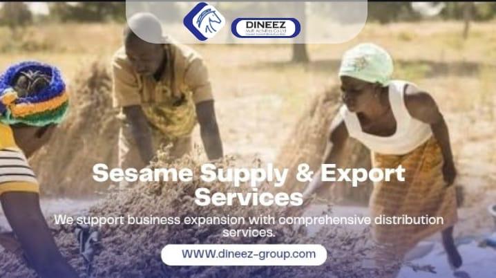 Sesame Supply & Export Services